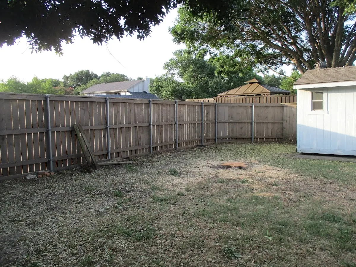 Cleared yard after professional tree removal in Saint Joseph