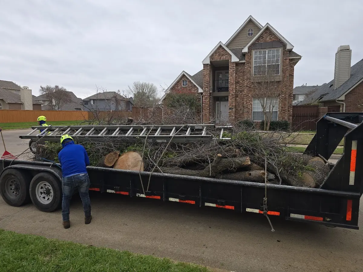 Expert Lot Clearing with proper safety equipment in Saint Joseph